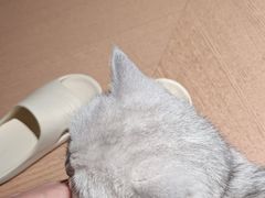 -道合堂·中式按摩·spa(民治店)