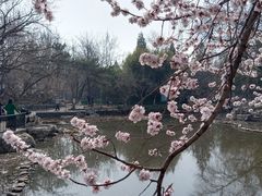 -宣武艺园