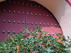 -北京市劳动人民文化宫(太庙)