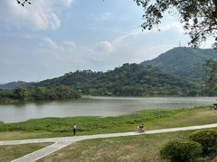 -风云岭森林公园