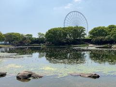 -蠡湖大桥公园