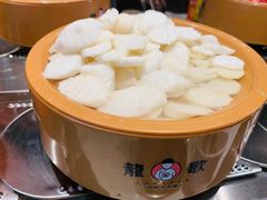 -龍歌自助小火锅(崂山丽达店)