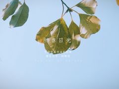 -艾溪湖湿地公园