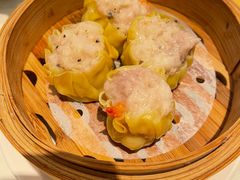 -新雅粤菜馆(南京东路店)