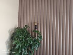 -梦都海鲜酒家(万达广场江桥店)