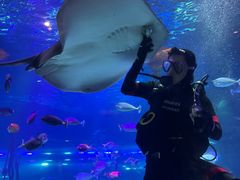 -沈阳海洋探索中心