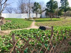 -苏州上方山国家森林公园