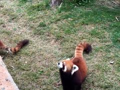 -泉州海丝野生动物世界