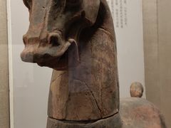 -乐山市博物馆