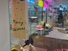 -大型宠物商超·宠海王国·宠物猫狗活体·用品·美容(新世界百货重庆店)