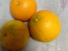 -蓬川食府(金海道店)