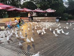 -南昌之星游乐场