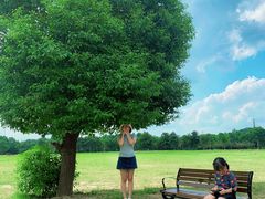 -山明水秀大饭店