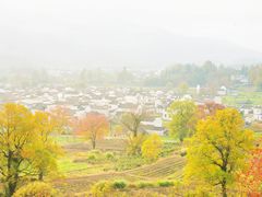 -塔川景区