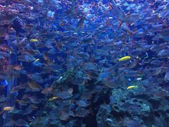 -成都浩海立方海洋公园