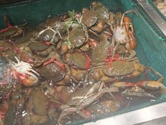 -初色海鲜自助(万丰路店)