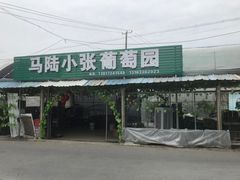 -马陆小张葡萄园农家乐