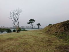 -盘龙城国家考古遗址公园