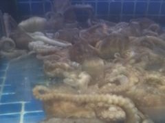 -大众海鲜(巨龙北路店)