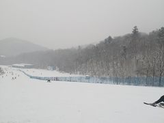 -亚布力新体委滑雪场
