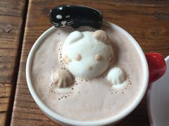 -吉丁鸟咖·异宠·寄养