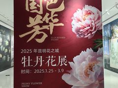 -花之城