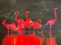 -罗红摄影艺术馆