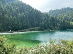 -武陵山森林公园