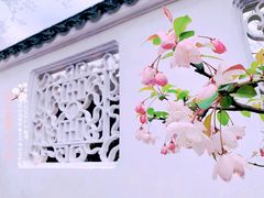 -拙政园