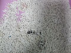 -半岛宠物医院24小时(科华中路店)