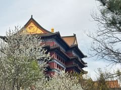 -大明幻境第一城