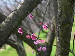 -溪口-滕头旅游景区