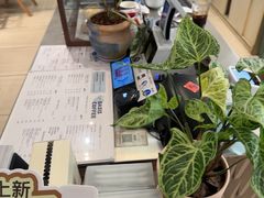 -Oasis coffee燕谷咖啡(公信店)