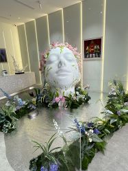 -AIST爱思特医疗美容医院