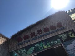 -石家庄市动物园