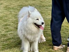 -上海神旺大酒店