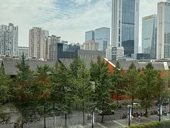-成都尼依格罗酒店