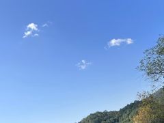 -西湖风景区-江洋畈生态公园