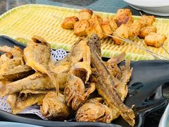 -金谷园饺子·烧烤(人大总店)