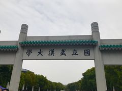 -武汉大学-樱园