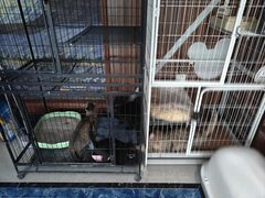 -音悦汇量贩KTV(相城店)