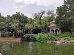 -荔湾湖公园