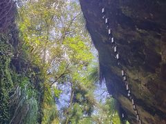 -刘伯温故里景区百丈漈