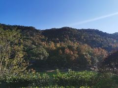 -桃花岭景区
