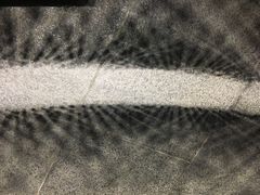-张之洞与武汉博物馆