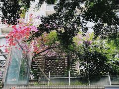 -Jeans Coffee牛仔裤咖啡