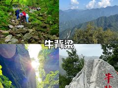 -秦岭风景区