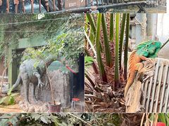 -呀路古热带植物园