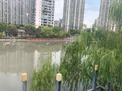 -苏州河梦清园环保主题公园