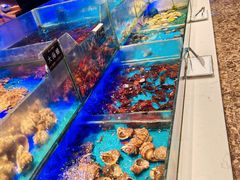 -SEA西雅图海鲜自助餐厅(海乐世界店)